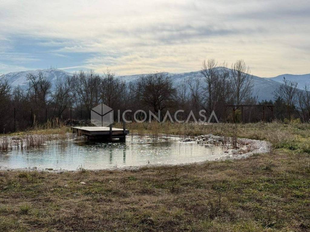 immagine annuncio 5 di 12