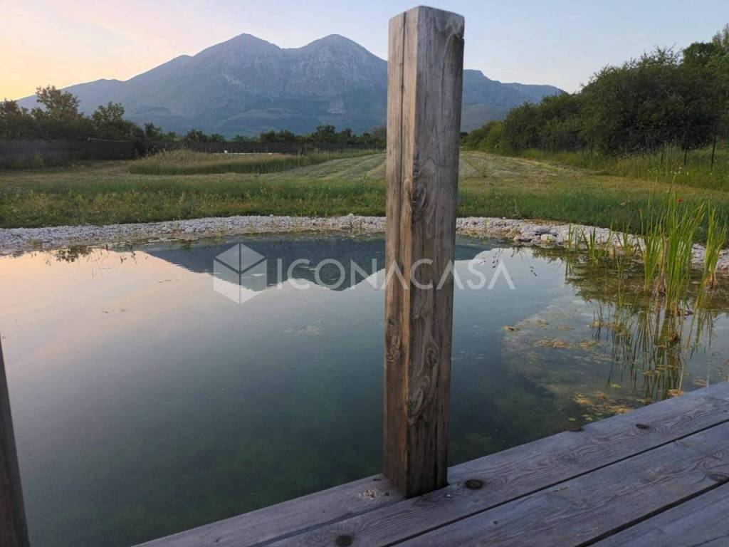 immagine annuncio 9 di 12