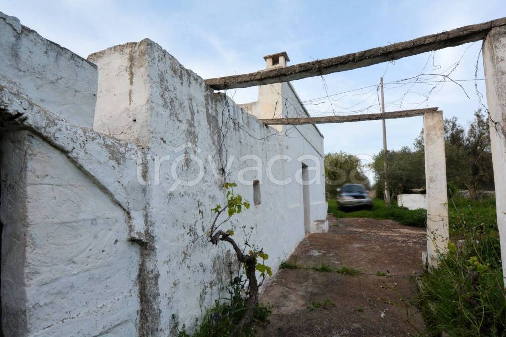 immagine annuncio 11 di 14