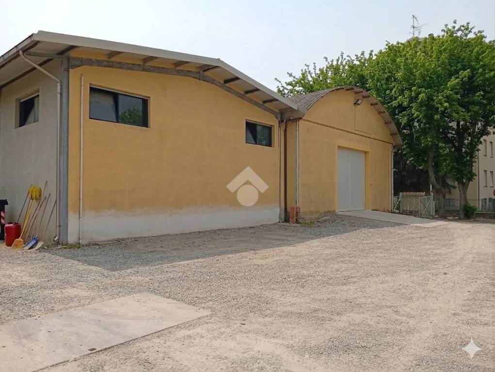 immagine annuncio 3 di 10