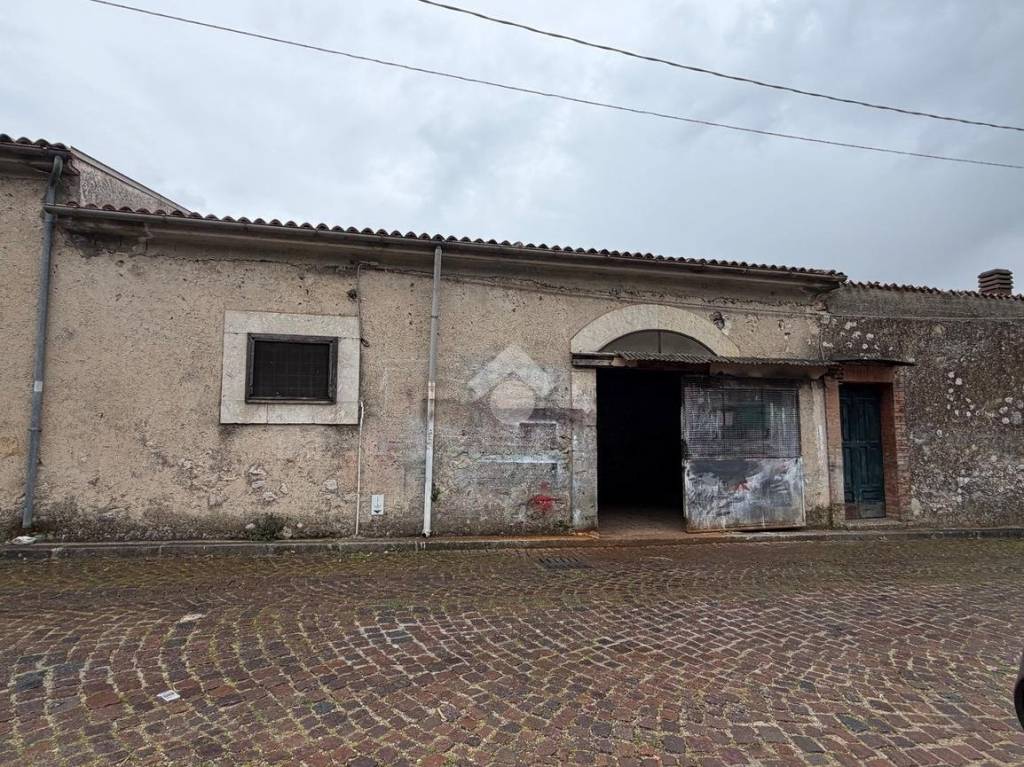 immagine annuncio 5 di 9
