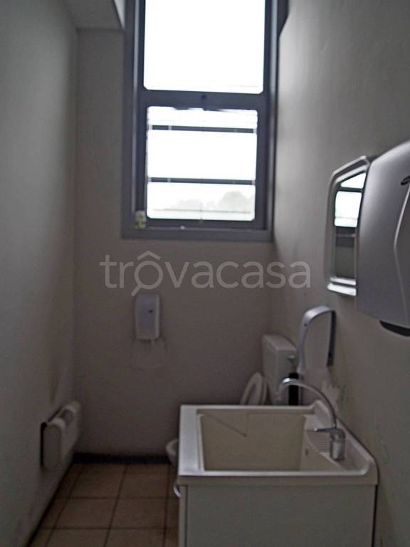 immagine annuncio 7 di 14