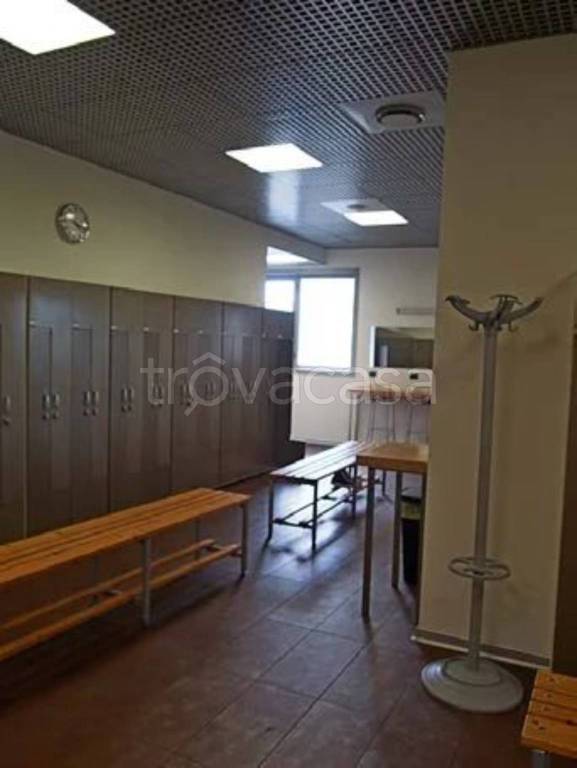 immagine annuncio 13 di 14
