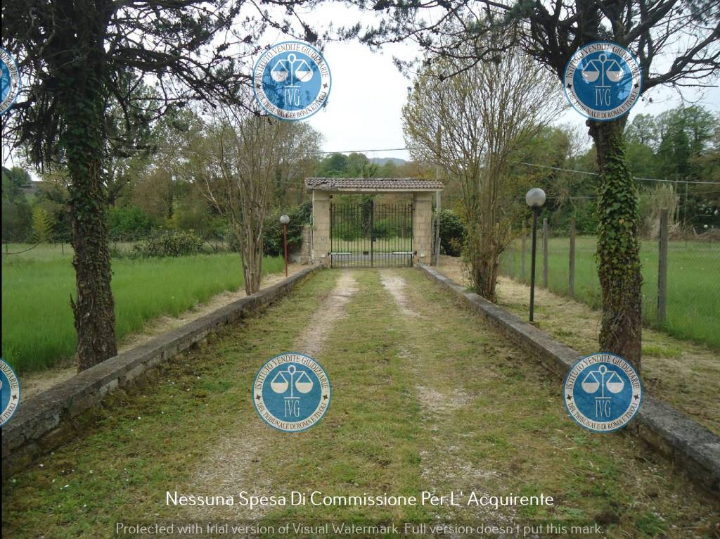 immagine annuncio 12 di 14