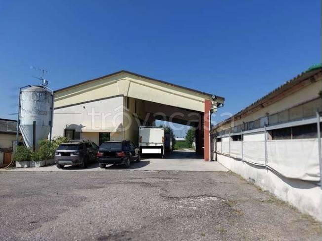 immagine annuncio 2 di 7