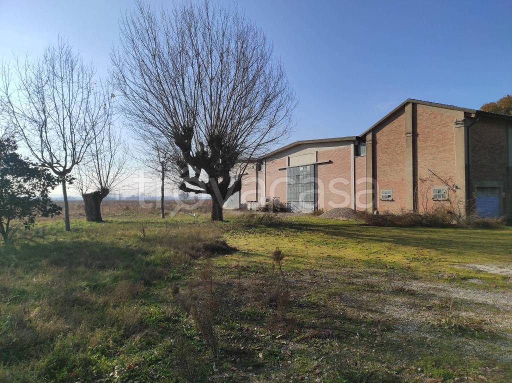 immagine annuncio 9 di 14