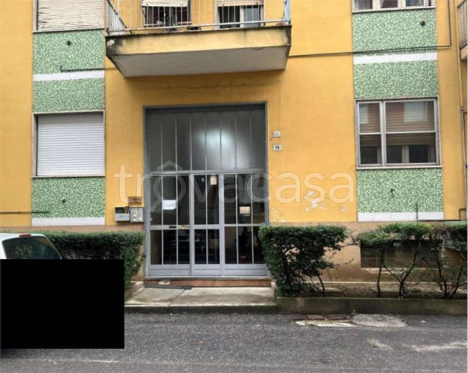 immagine annuncio 11 di 14