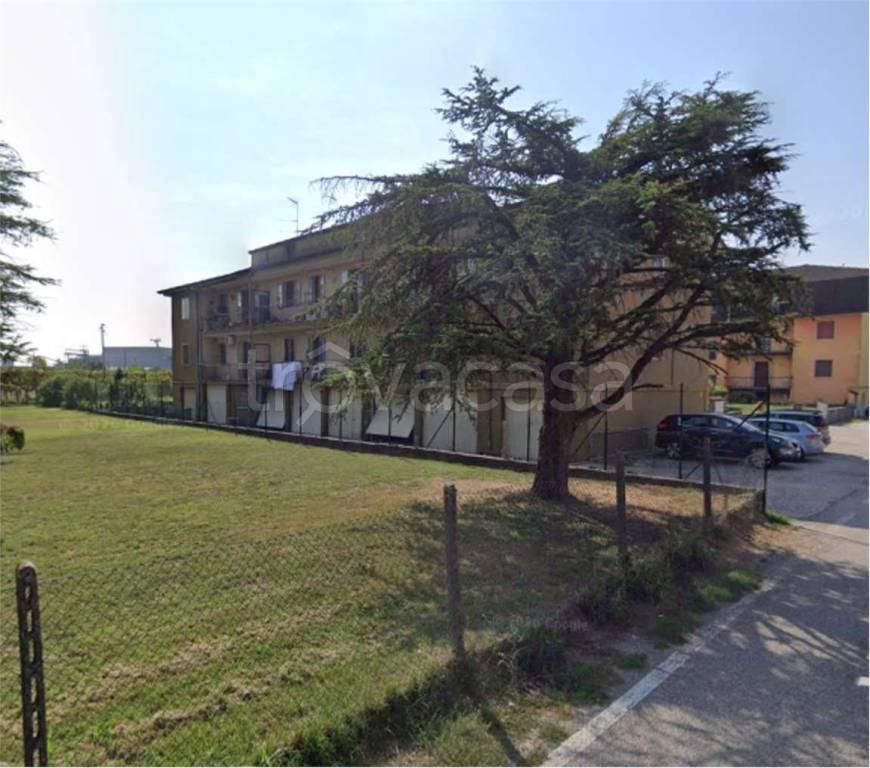 immagine annuncio 4 di 14