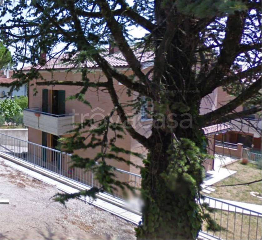 immagine annuncio 2 di 12