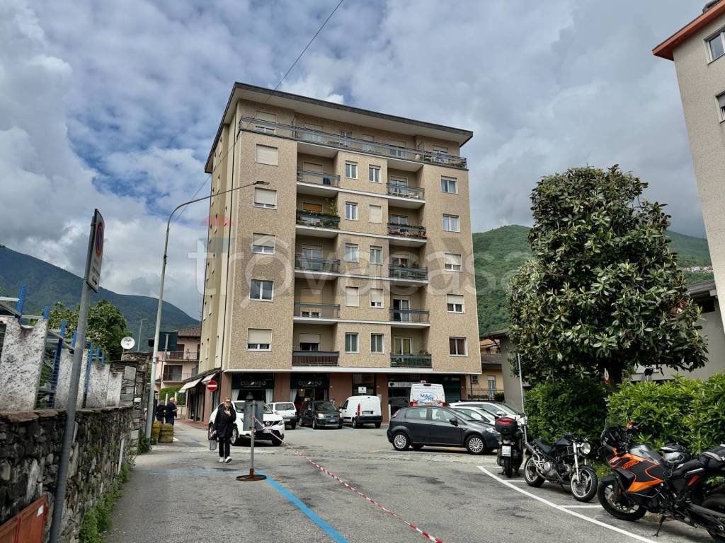 immagine annuncio 5 di 6