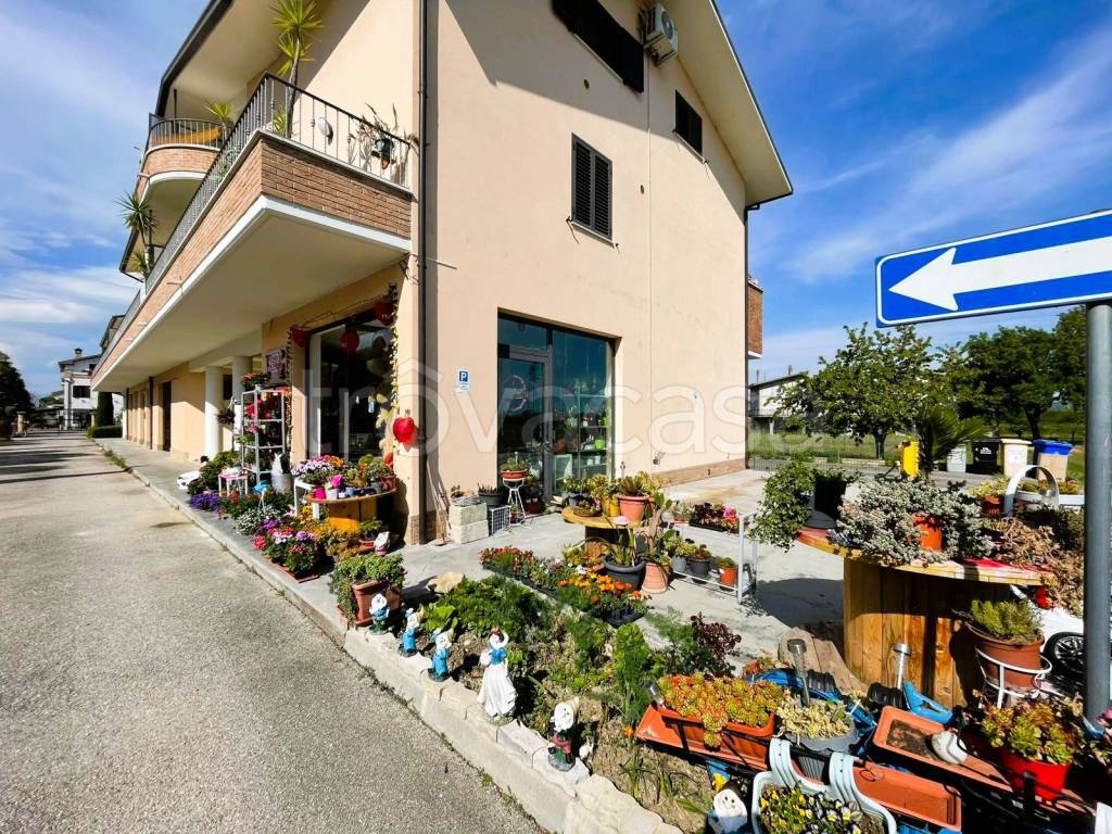 immagine annuncio 7 di 11