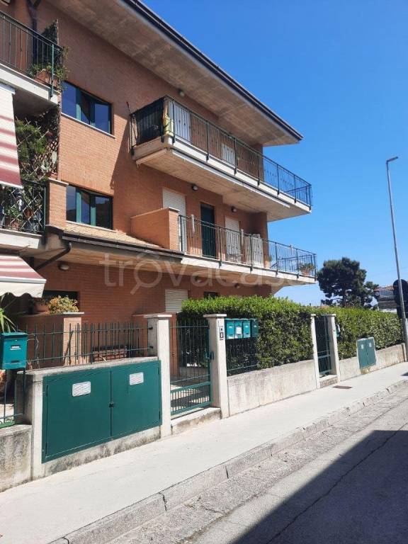 immagine annuncio 11 di 14