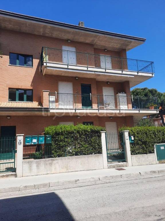 immagine annuncio 12 di 14