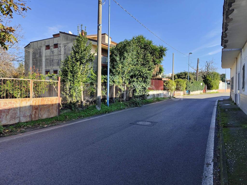 immagine annuncio 2 di 7