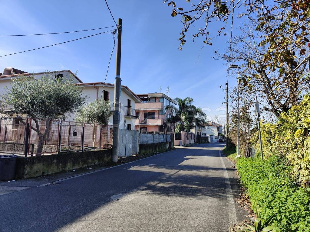 immagine annuncio 3 di 7