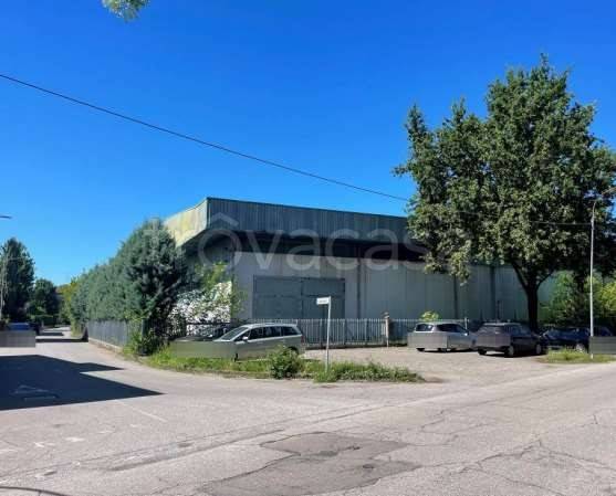 immagine annuncio 3 di 15
