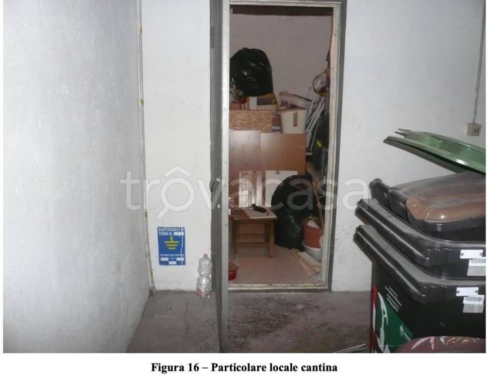 immagine annuncio 5 di 8