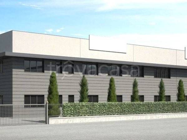 immagine annuncio 9 di 12