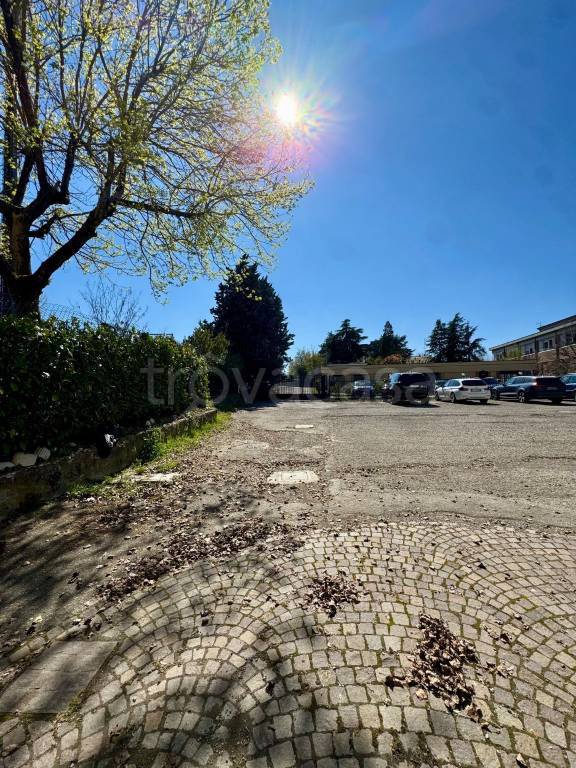 immagine annuncio 9 di 14