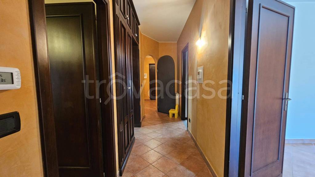 immagine annuncio 12 di 14