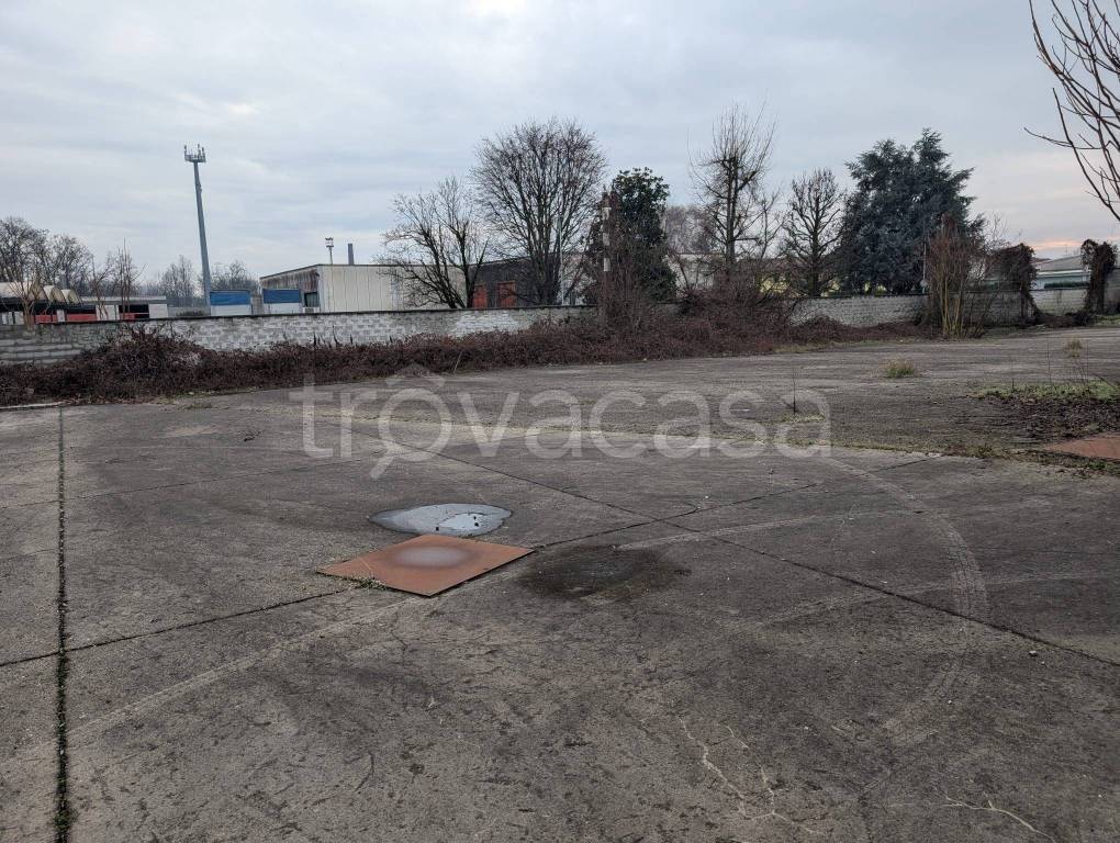 immagine annuncio 3 di 12