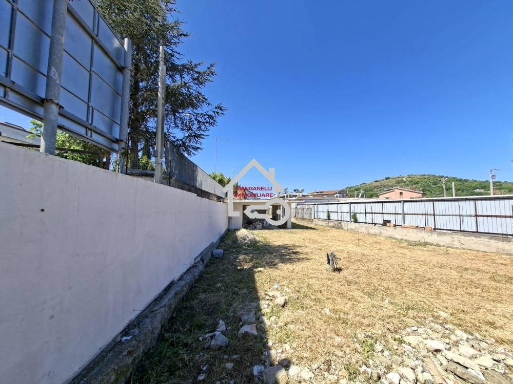 immagine annuncio 3 di 6