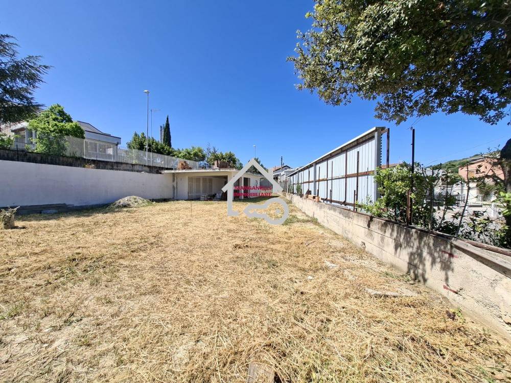 immagine annuncio 5 di 6