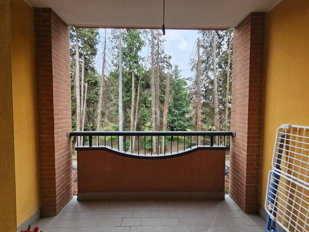immagine annuncio 5 di 6