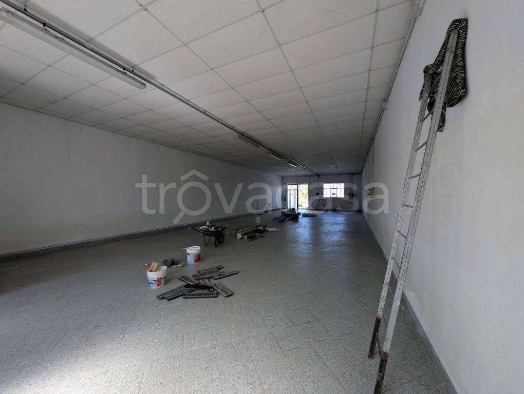 immagine annuncio 2 di 4