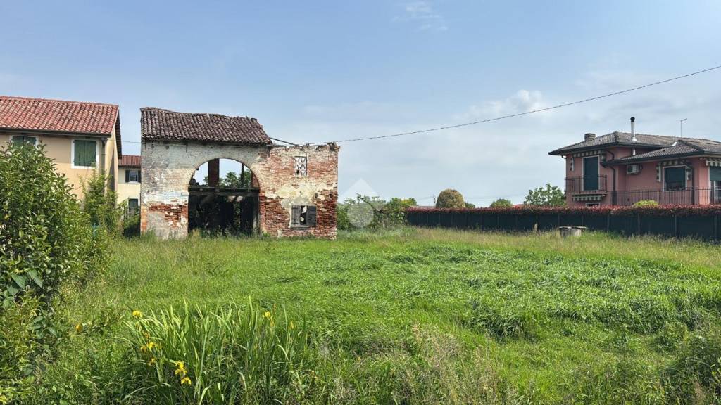 immagine annuncio 3 di 11