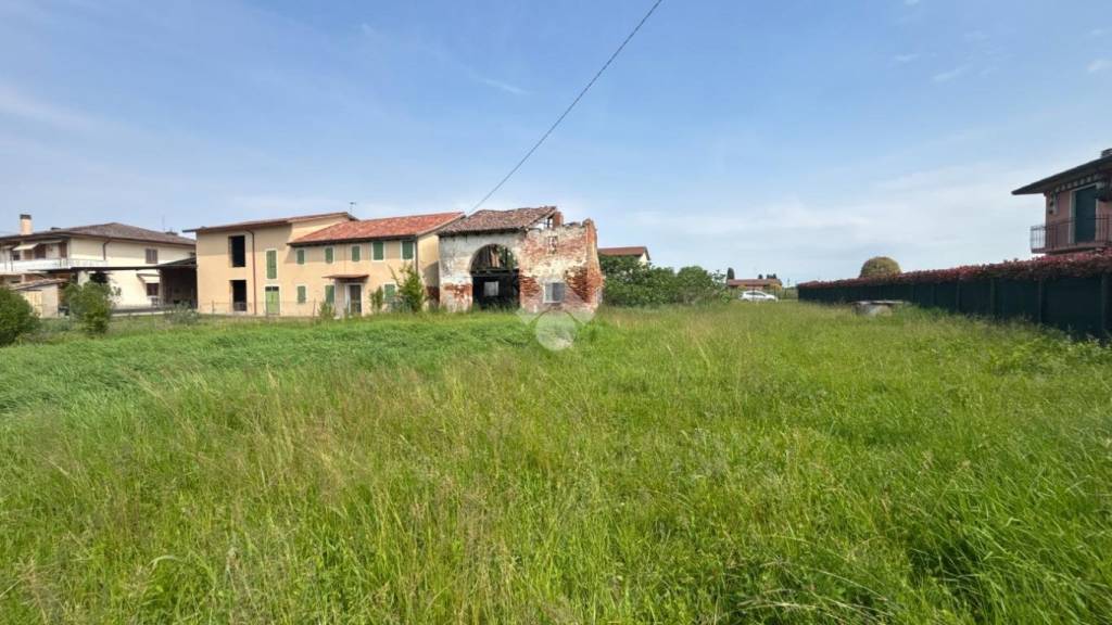 immagine annuncio 4 di 11
