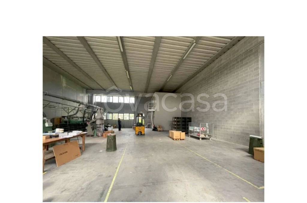 immagine annuncio 5 di 10