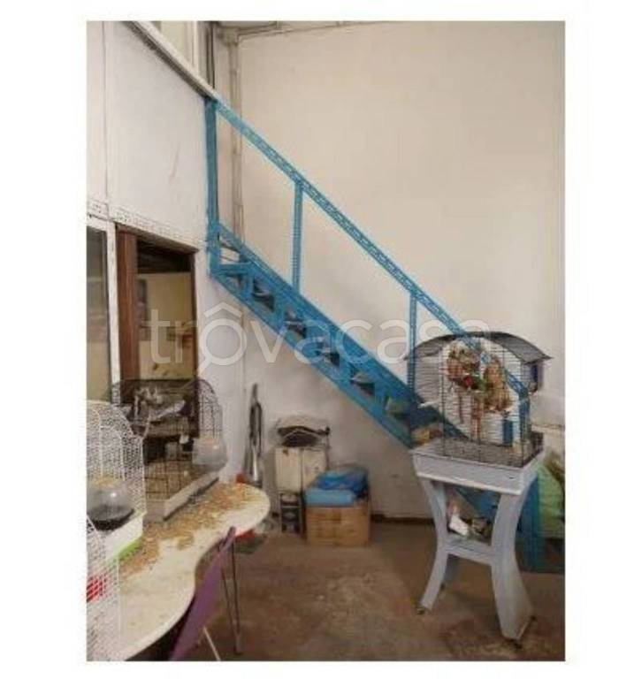 immagine annuncio 4 di 14