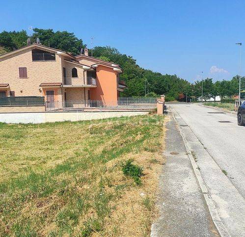 immagine annuncio 2 di 12