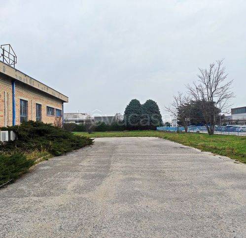 immagine annuncio 4 di 15