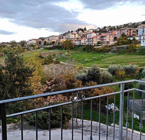 immagine annuncio 7 di 14