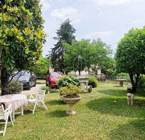 immagine annuncio 11 di 15