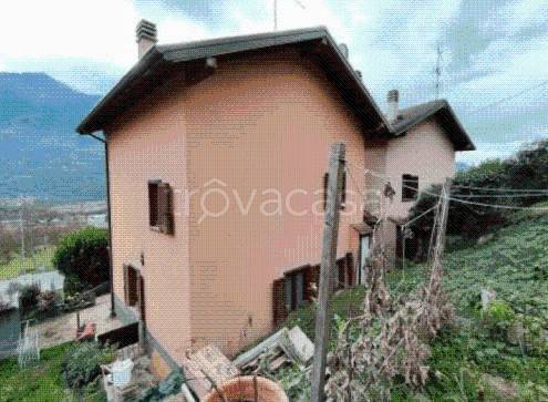 immagine annuncio 4 di 12