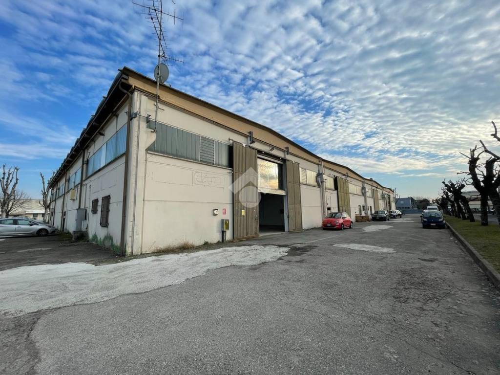 immagine annuncio 9 di 10
