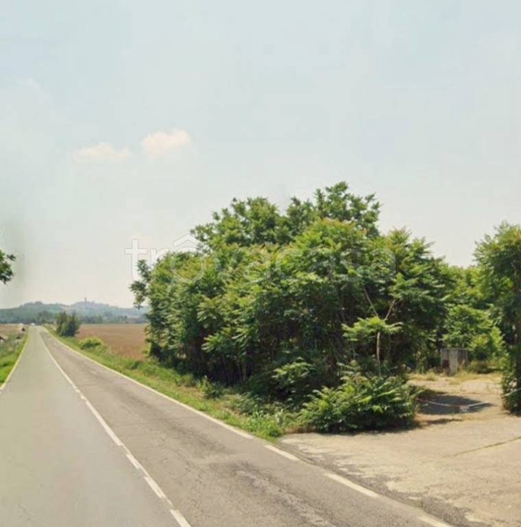 immagine annuncio 1 di 2