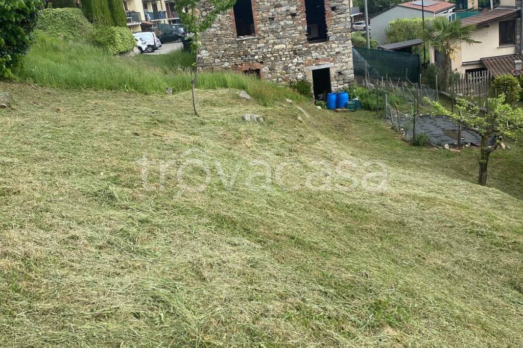 immagine annuncio 9 di 12