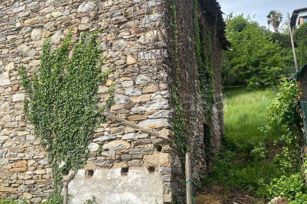immagine annuncio 4 di 12