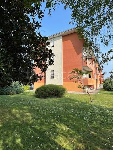 immagine annuncio 2 di 13
