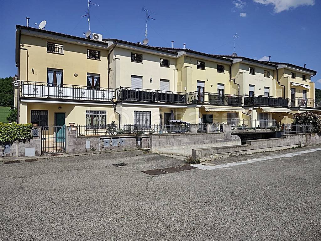 immagine annuncio 1 di 14