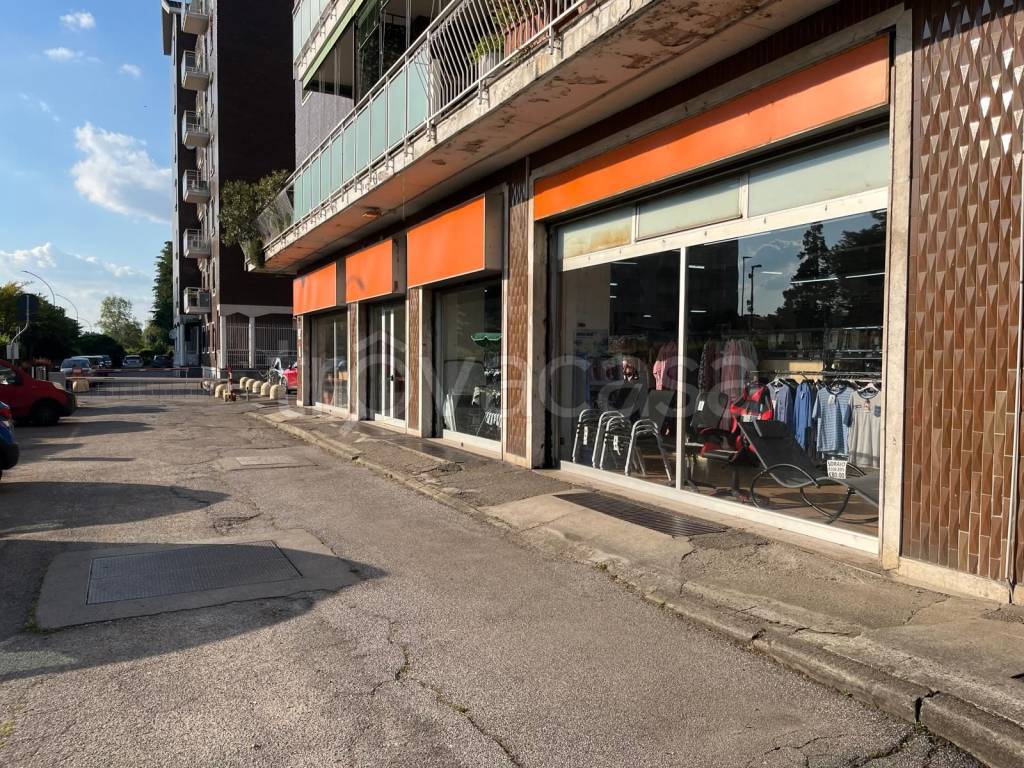 immagine annuncio 7 di 15