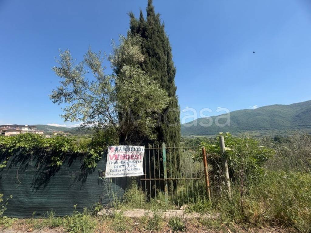 immagine annuncio 2 di 8