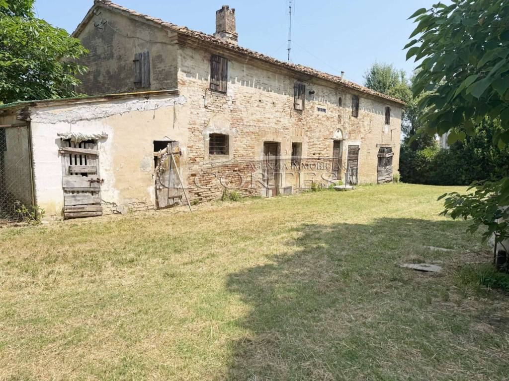 immagine annuncio 3 di 6