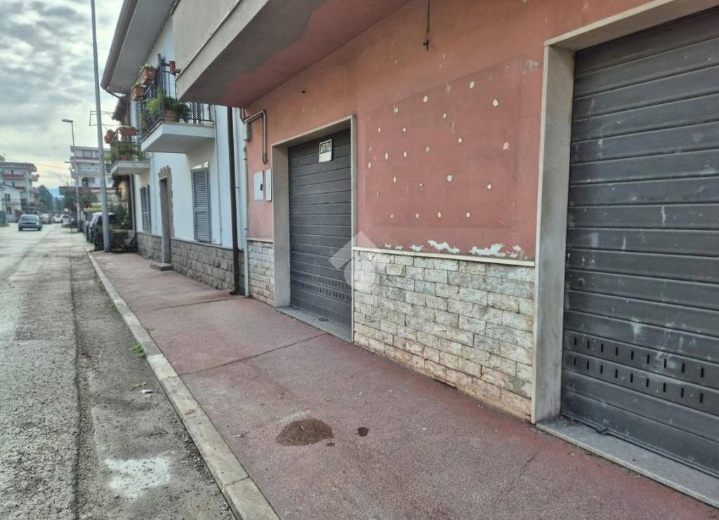 immagine annuncio 2 di 14