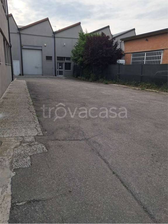 immagine annuncio 1 di 4