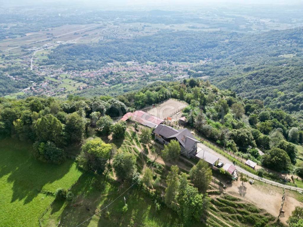 immagine annuncio 9 di 14